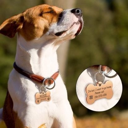 dog tag